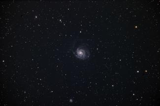 M101