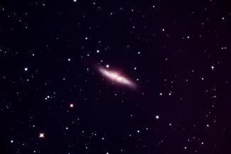 M82