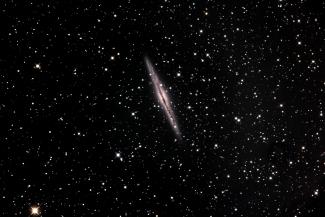 NGC891