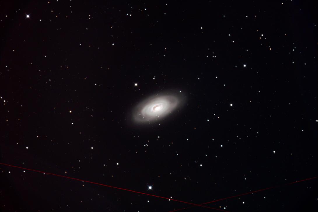M64
