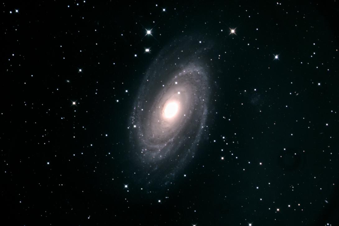 M81