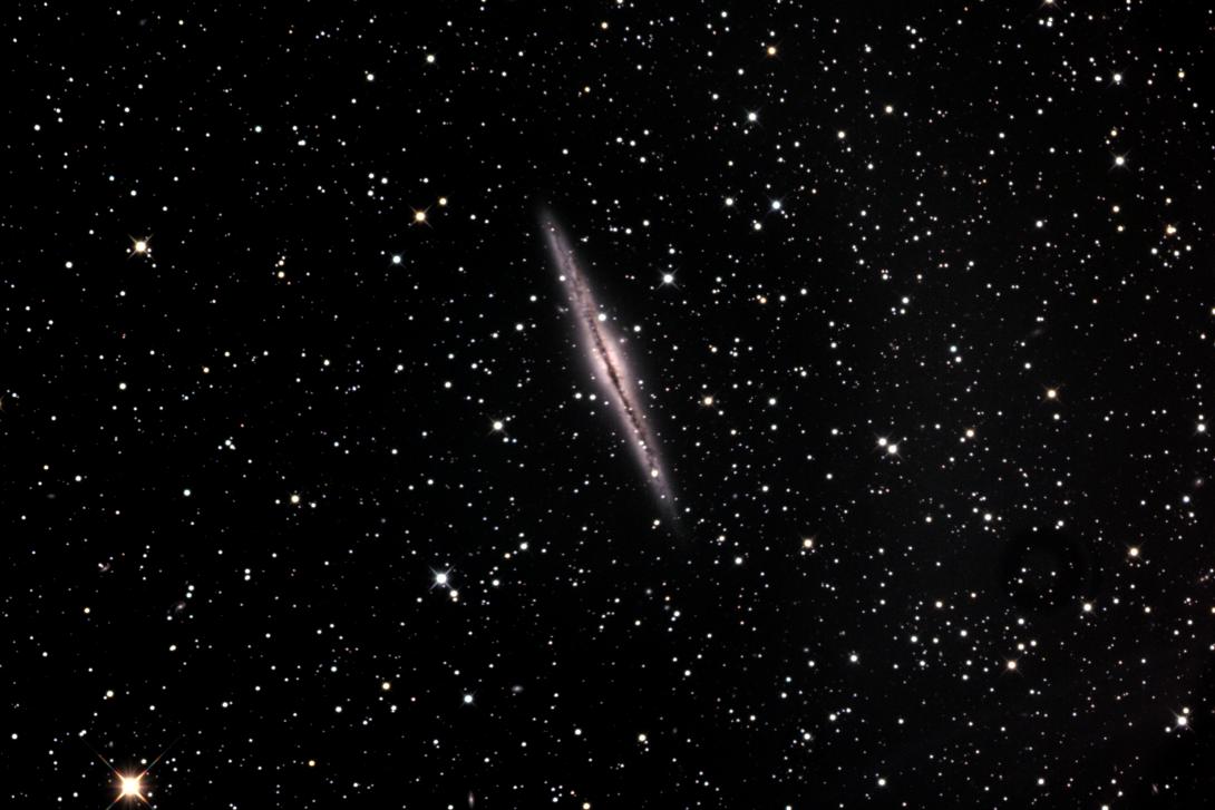 NGC891